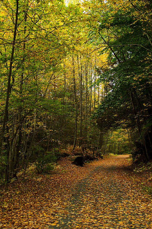 Along the Air Line Trail - Stan Malcolm Photos